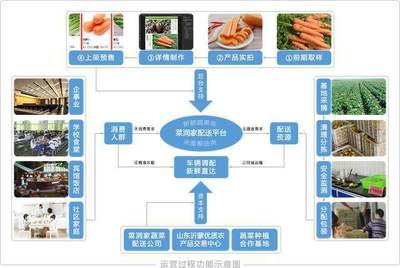 “互聯網+基地+用戶” 構建高效透明的農產品放心供應鏈