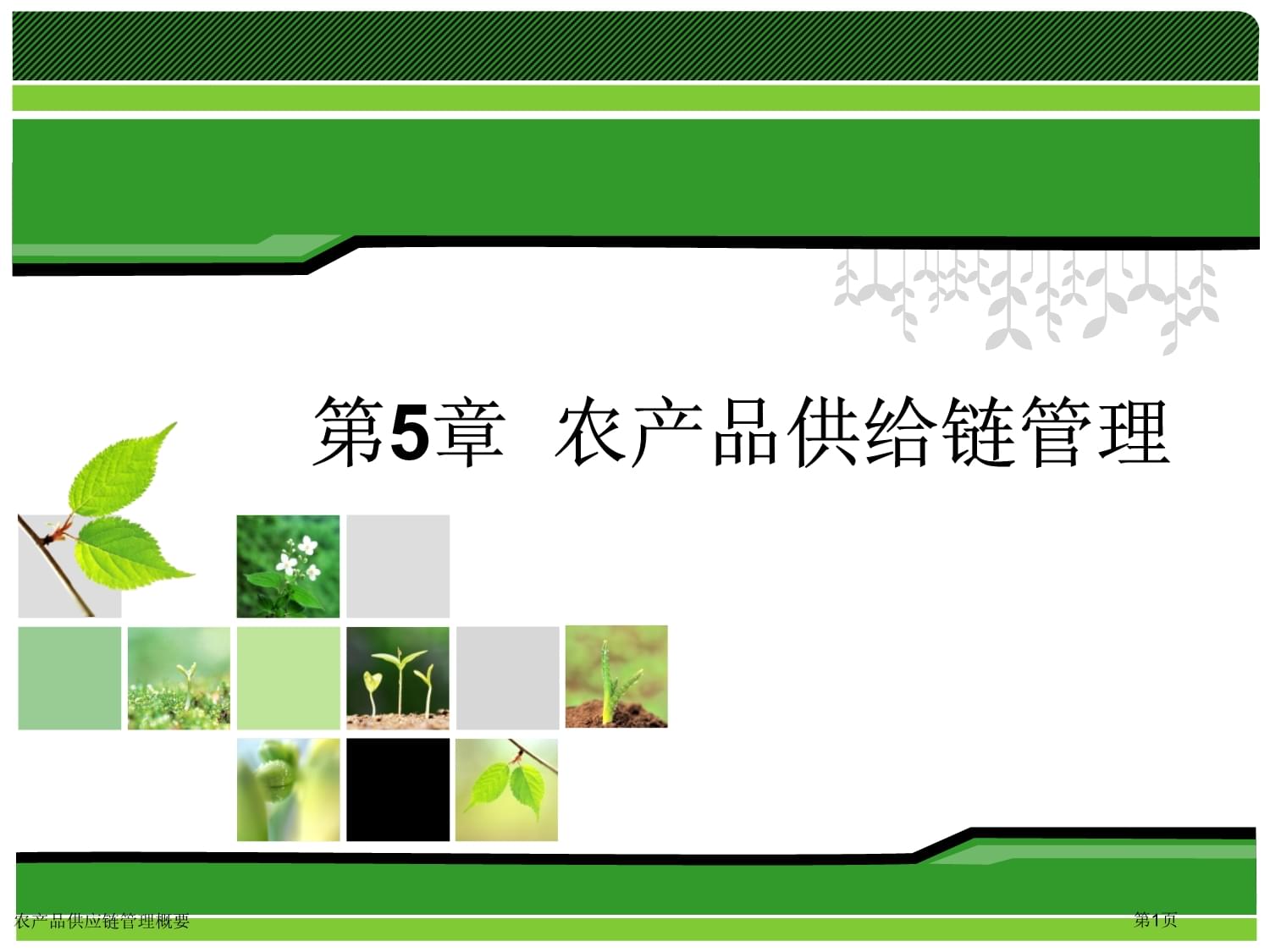 農產品供應鏈管理服務 構建從田間到餐桌的橋梁